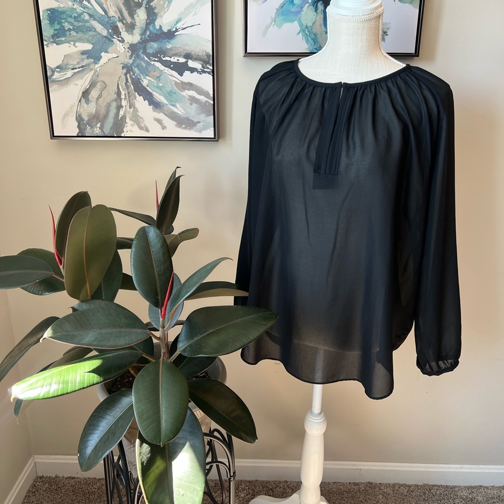 Mossimo Black Sheer Long Sleeve Blouse